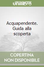 Acquapendente. Guida alla scoperta libro