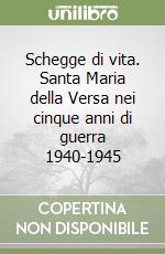 Schegge di vita. Santa Maria della Versa nei cinque anni di guerra 1940-1945 libro