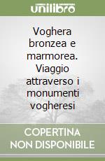 Voghera bronzea e marmorea. Viaggio attraverso i monumenti vogheresi libro