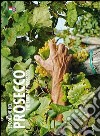 Le colline del Prosecco. Ediz. italiana e inglese libro