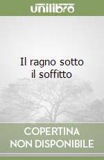 Il ragno sotto il soffitto libro