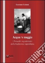 Acqua 'e maggio. I proverbi segnatempo della tradizione napoletana libro