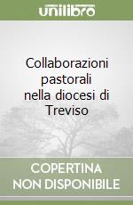 Collaborazioni pastorali nella diocesi di Treviso libro