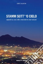 Stamm sott' 'o cielo. Appunti su una città cresciuta tra due vulcani libro