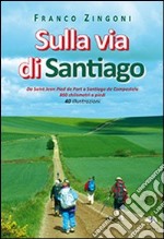 Sulla via di Santiago libro