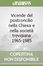 Vicende del postconcilio nella Chiesa e nella società trevigiana 1965-1985 libro