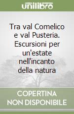 Tra val Comelico e val Pusteria. Escursioni per un'estate nell'incanto della natura libro