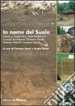 In nome del suolo. Tributo a Angelo Aru, Paolo Baldaccini, Corrado Buondonno, Giovanni Fierotti, Fiorenzo Mancini, Fiorenzo Ugolini libro