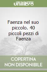 Faenza nel suo piccolo. 40 piccoli pezzi di Faenza libro