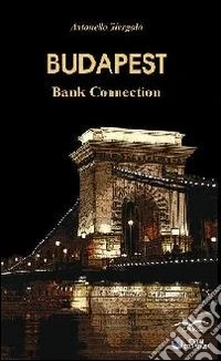 Budapest. Bank connection
