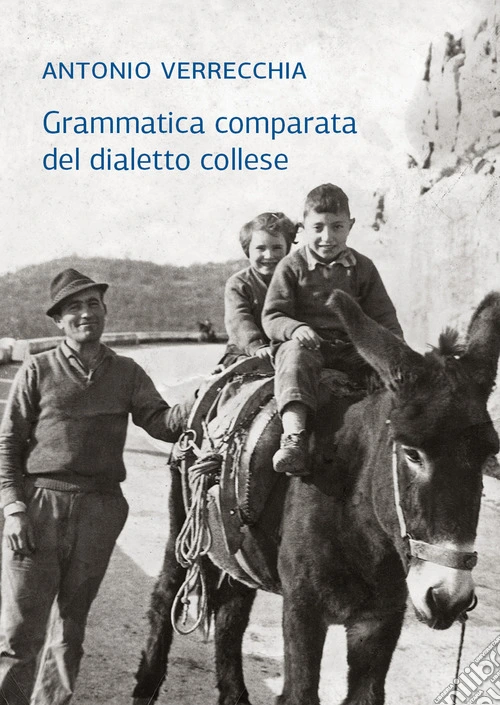 Grammatica comparata del dialetto collese
