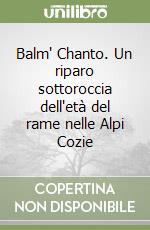 Balm' Chanto. Un riparo sottoroccia dell'età del rame nelle Alpi Cozie libro