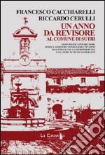 Un anno da revisore libro