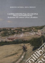 Castelnuovo Val di Cecina nell'Ottocento. Evoluzione del contesto urbano ed edilizio libro