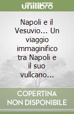 Napoli e il Vesuvio... Un viaggio immaginifico tra Napoli e il suo vullcano...