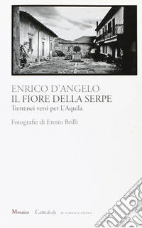 Il fiore della serpe libro