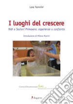 I luoghi del crescere. Nidi e sezioni primavera: esperienze a confronto