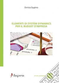 Elementi di system dynamics per il budget d'impresa