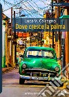 Dove cresce la palma libro