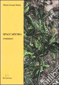 Spaccapetra libro