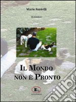 Il mondo non è pronto libro