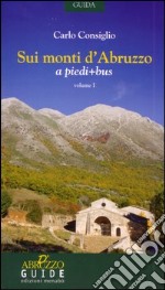 Sui monti d'Abruzzo a piedi + bus libro