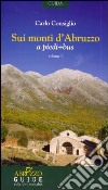 Sui monti d'Abruzzo a piedi + bus libro di Consiglio Carlo