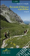 Sui monti d'Abruzzo a piedi + bus. Vol. 2 libro di Consiglio Carlo