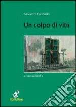 Un colpo di vita. A ciaccazzeddra libro