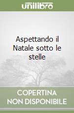 Aspettando il Natale sotto le stelle libro
