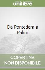 Da Pontedera a Palmi libro