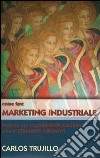 Come fare marketing industriale facendo uso di leadership, cultura ed altri strumenti operativi libro