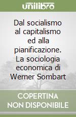 Dal socialismo al capitalismo ed alla pianificazione. La sociologia economica di Werner Sombart libro