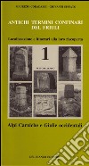 Antichi termini confinari del Friuli. Localizzazione e itinerari alla loro riscoperta. Vol. 1: Settore alpino (alpi Carniche e Giulie occidentali) libro