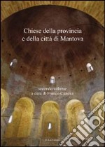 Chiese della provincia e della città di Mantova. Vol. 1 libro