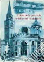 Chiese della provincia e della città di Mantova libro