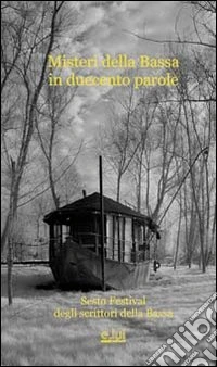 I misteri della bassa libro