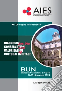 XIV convegno internazionale AIES 2023/2024. Diagnosis, conservation, valorization, cultural heritage libro