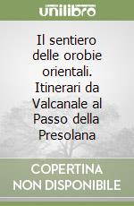 Il sentiero delle orobie orientali. Itinerari da Valcanale al Passo della Presolana libro