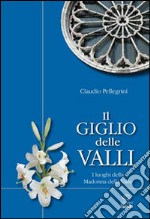 Il giglio delle valli. I luoghi dedicati alla Madonna della Valle libro