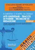 Atti giudiziari. Tracce di pareri. Tecniche di relazione. Penale