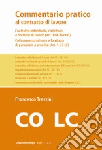 Commentario pratico al contratto di lavoro. Contratto individuale, collettivo e normale di lavoro (Art. 319-362 CO). Collocamento privato e fornitura di personale a prestito (Art. 1-23 LC). Con Contenuto digitale (fornito elettronicamente)