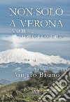 Non solo a Verona (anche... storia d'amore). Nuova ediz. libro