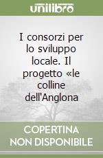 I consorzi per lo sviluppo locale. Il progetto «le colline dell'Anglona