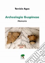 Archeologia guspinese. Memorie