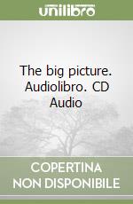The big picture. Audiolibro. CD Audio