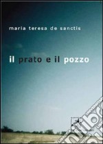 Il prato e il pozzo libro