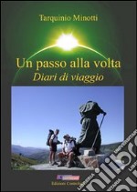 Un passo alla volta. Diari di viaggio libro