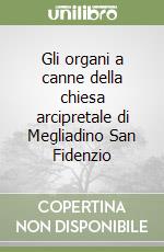 Gli organi a canne della chiesa arcipretale di Megliadino San Fidenzio libro