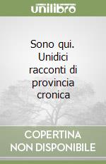 Sono qui. Unidici racconti di provincia cronica libro